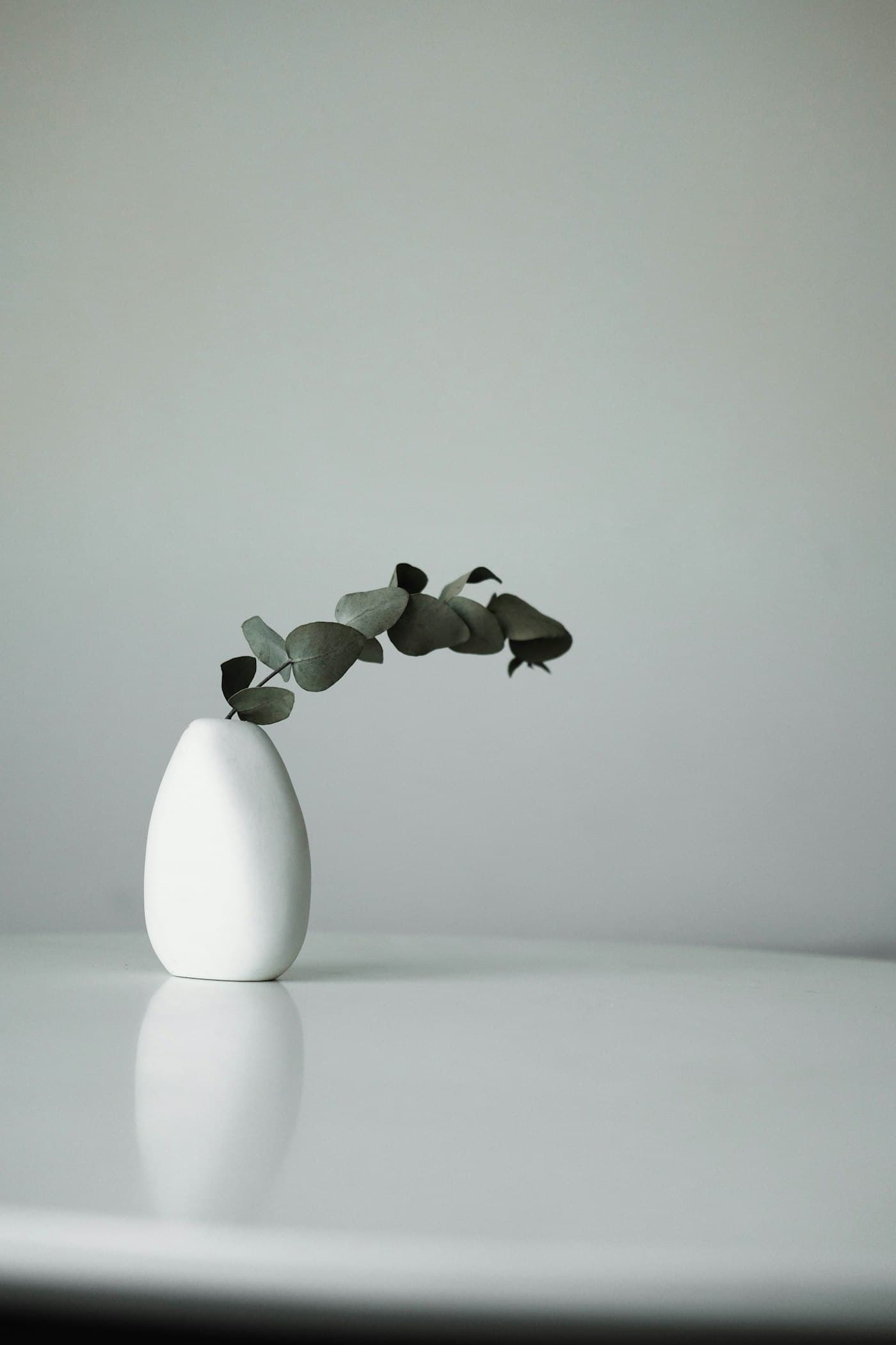 Vase Onde blanc avec une branche d'eucalyptus